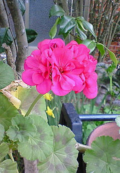 201004051008000.jpg