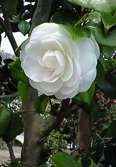 201004061145000.jpg