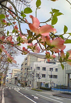 201004211012000.jpg
