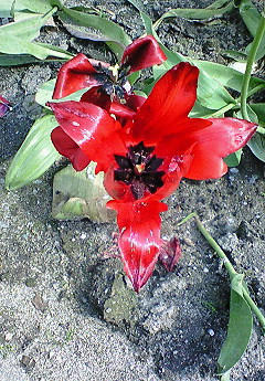 201004261543000.jpg