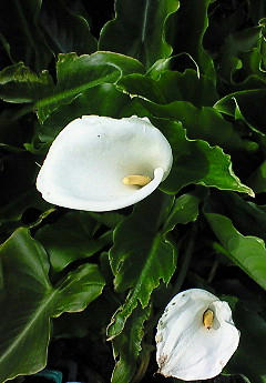 201004261542001.jpg