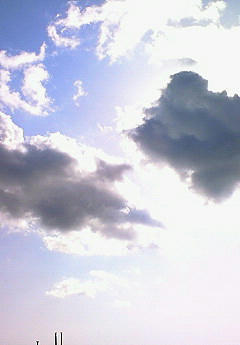 201005141626001.jpg