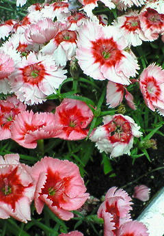 201005271039000.jpg