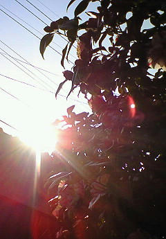 201002231531000.jpg