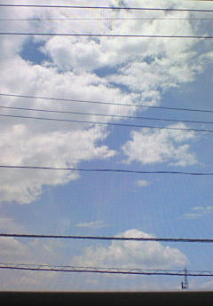 201007161213000.jpg