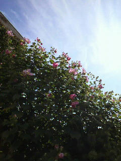 2010101110120000.jpg