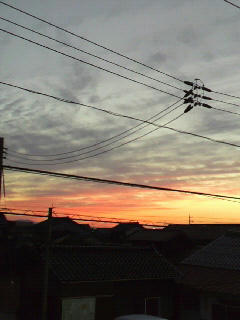 2010101617450000.jpg