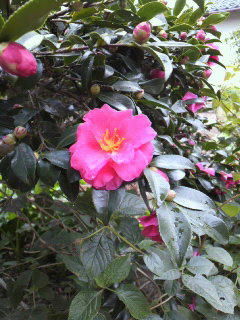 2010122009520000.jpg