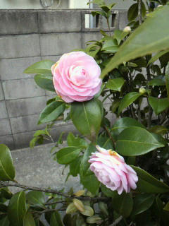 2011040309180000.jpg