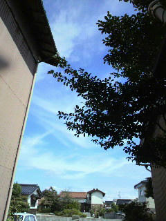 2011100311030000.jpg