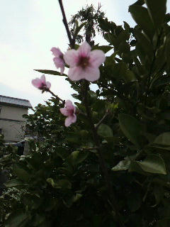 2012041015540000.jpg