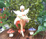 WF2013W.jpg