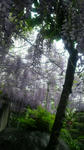 2008050212280000.jpg