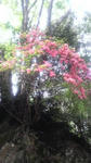 2008050415060000.jpg