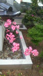 2008050411450000.jpg