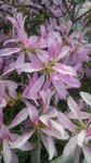 2008050411480000.jpg