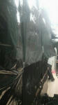 2008091215560000.jpg