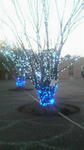 2009122616290000.jpg