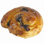 Schnecke.jpg
