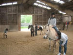 ridinghorse.jpg