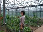 060610sayaka1.jpg