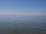 bodensee1.jpg