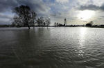 rheinueberschwemmung2011.jpg