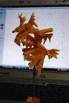 leafy_sea_dragon