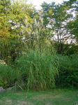 2susuki070923_u1.jpg