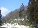 3sasa080302_018_u1.jpg