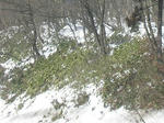 3sasa080302_018_u2.jpg