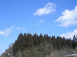 2sugi080302_001_u1.jpg