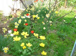 2suisen20080502SANY0017u1.jpg