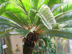 2sotetu080915SANY0073u1.jpg