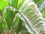 2sotetu080915SANY0073u2.jpg