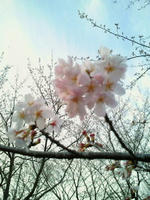 201004062323000.jpg