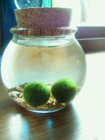 201007231309000.jpg