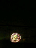 201008142356000.jpg
