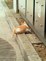 201008250150000.jpg