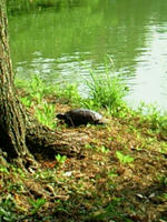 201008280314000.jpg
