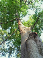 201008280313000.jpg