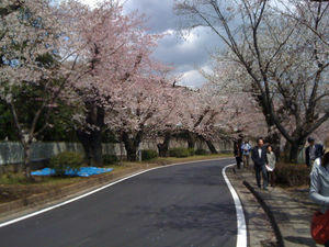f09c9743.jpg