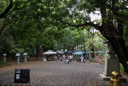 9538b3f2.jpg