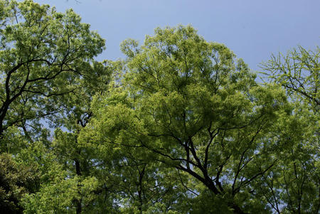 d9b84089.jpg