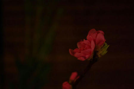 6a37002d.jpg