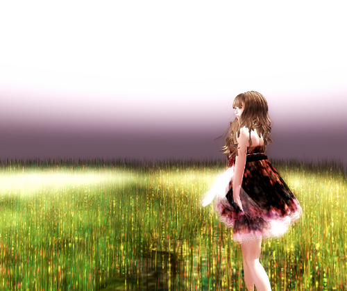 2011y02m25d_040656725.png