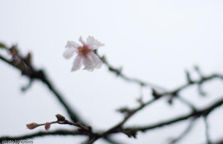 20071026-_MG_4361-124.jpg