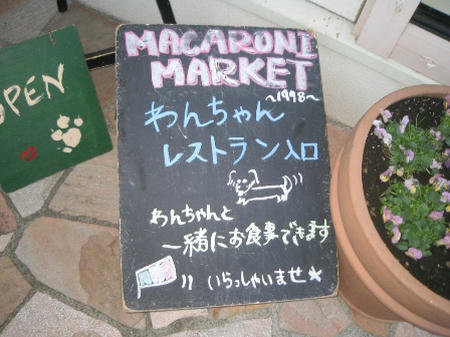 20080127-IMG_1077-1.jpg