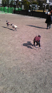 080211_113738.jpg