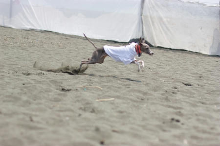 20080518-IMG_1641-22.jpg